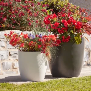 Set of 2 Oval Based Planters